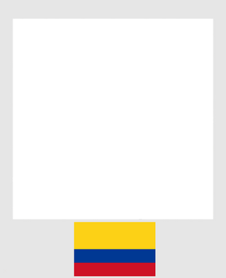 Colombia Flag Polaroid Frame Border