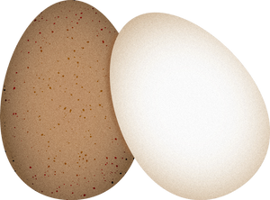 Modern Geometric Eggs