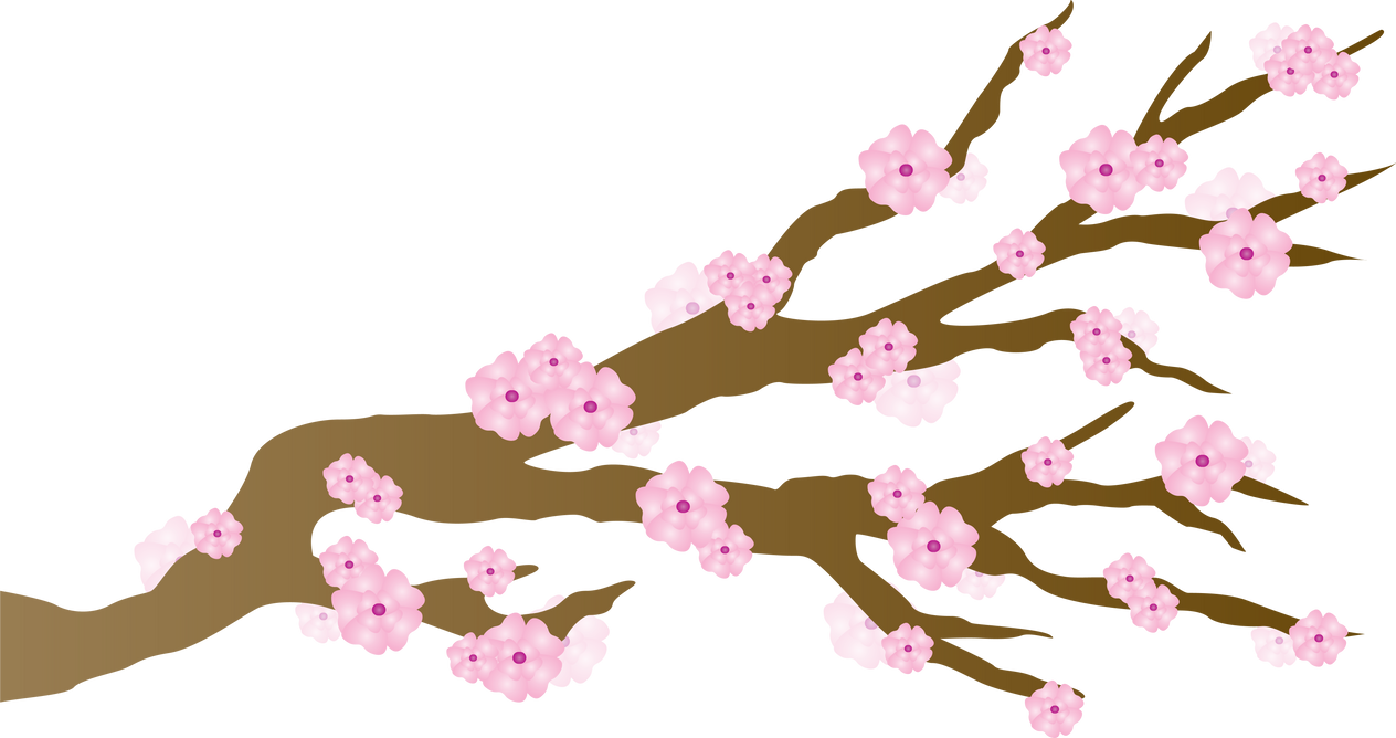 Cherry Blossoms Illustration     