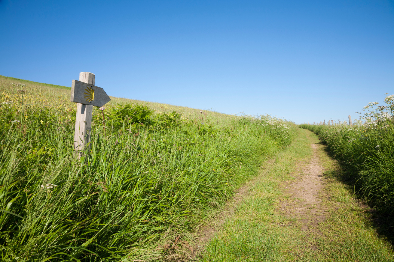 Santiago pilgrimage path